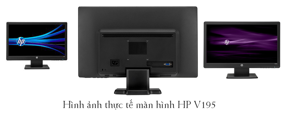 Màn hình HP V195